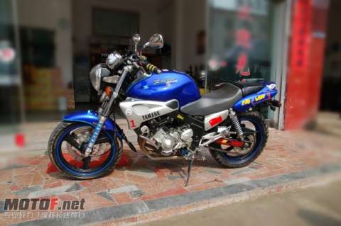 YAMAHA海豚
