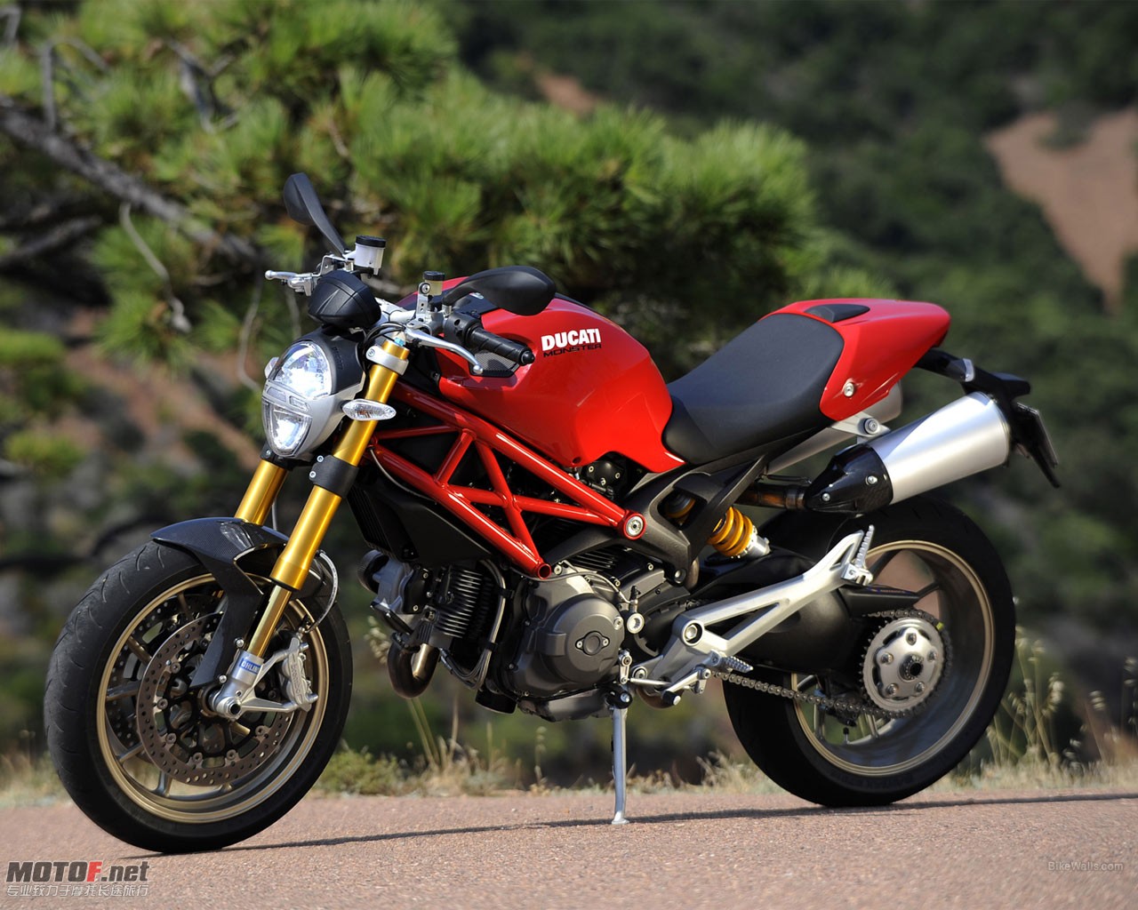 Ducati_Monster_1100_2009_17_1280x1024.jpg