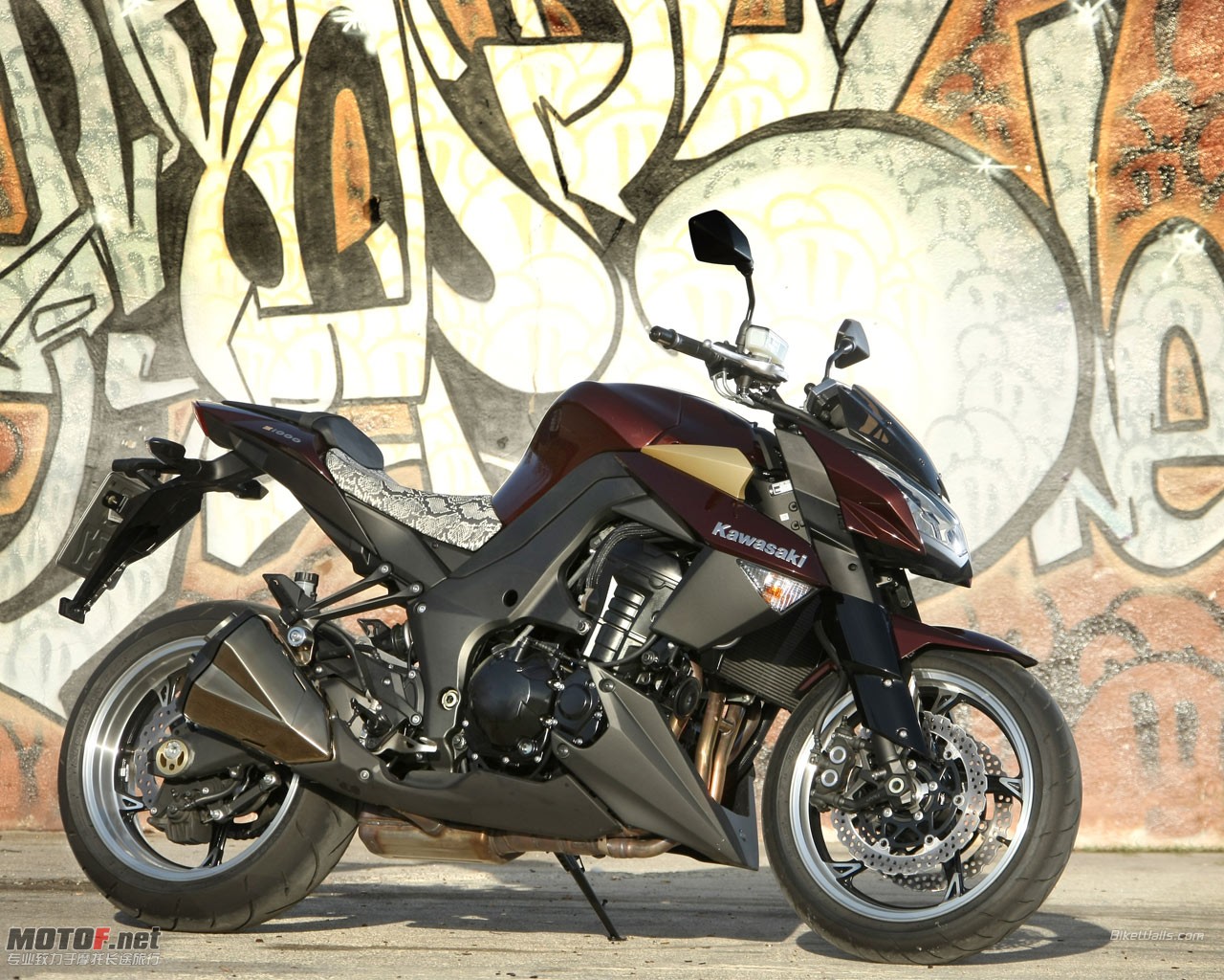 Kawasaki_Z1000_2010_55_1280x1024.jpg