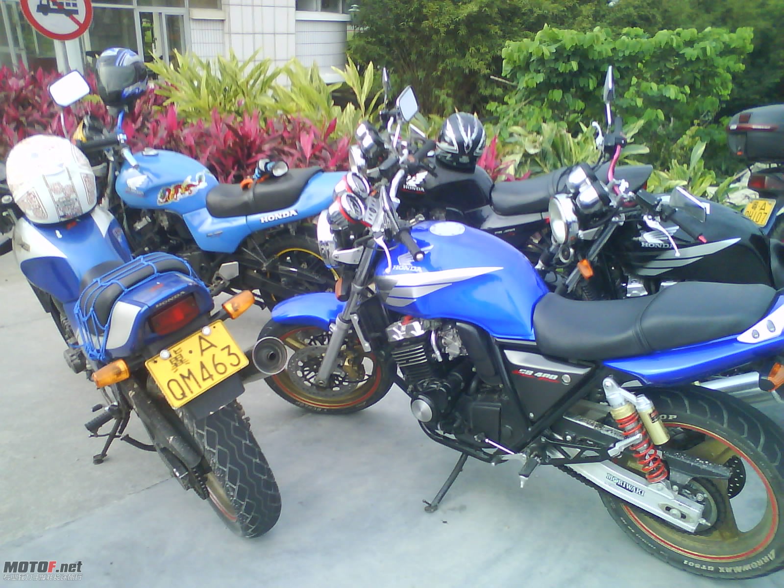 DSC00145.jpg