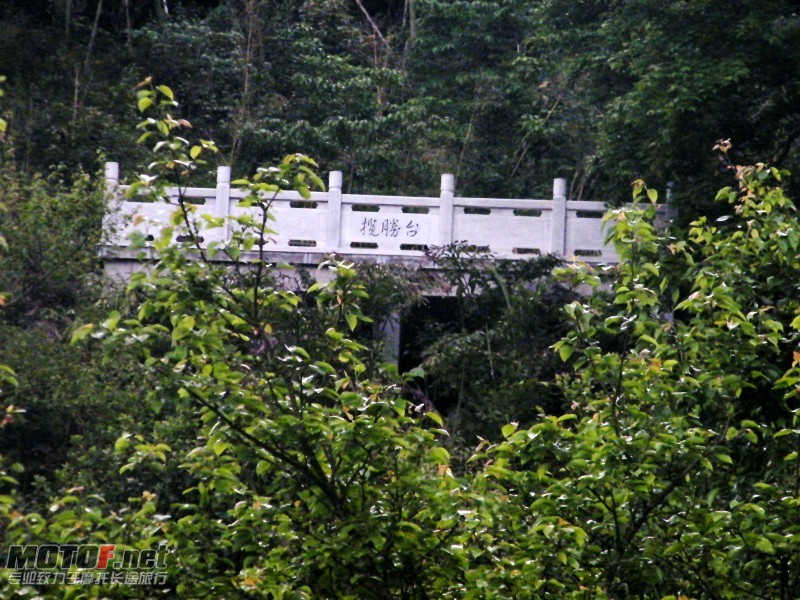 DSCF2004_conew1.jpg