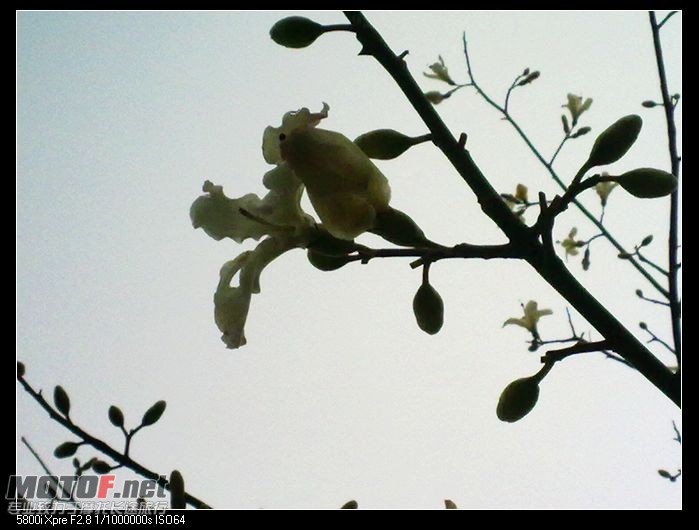 20091231860.jpg