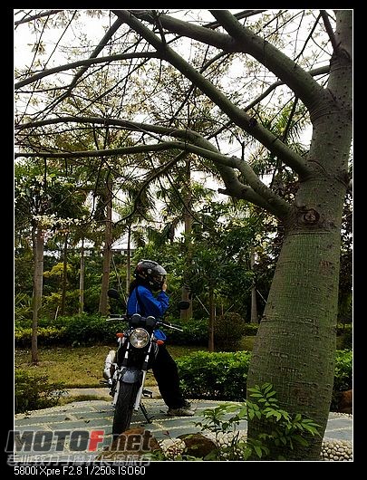 20091231856.jpg