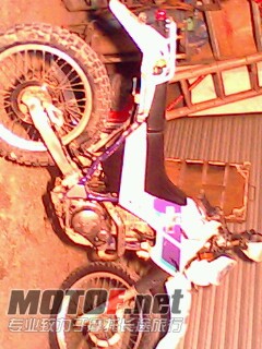IMG0342A.jpg