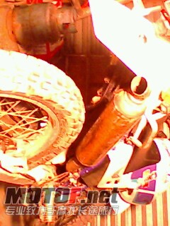 IMG0359A.jpg