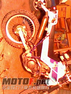 IMG0361A.jpg