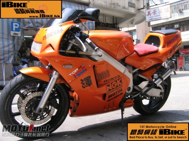81871o_2.jpg