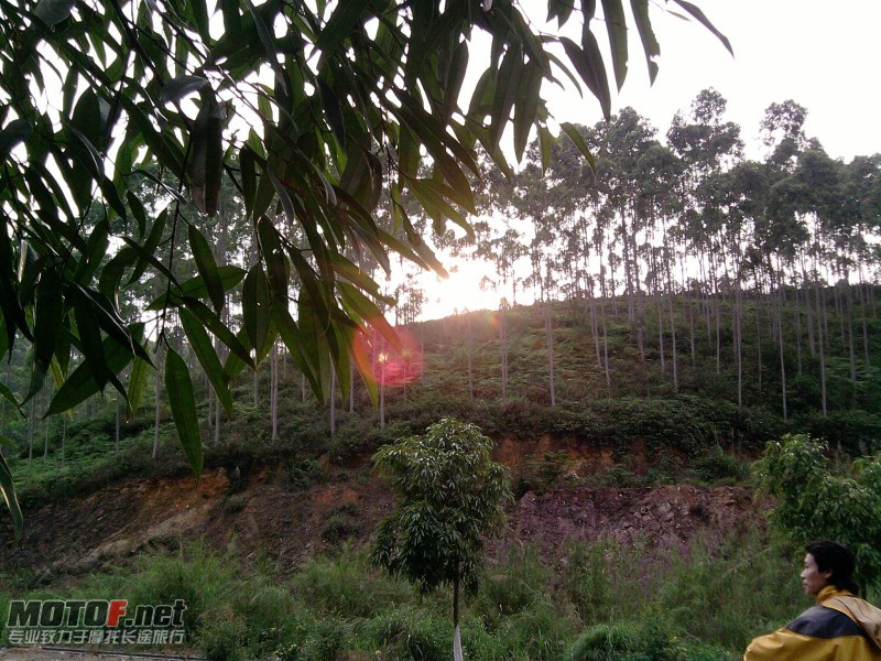 夕阳西下，回家的路途变得轻松自在...