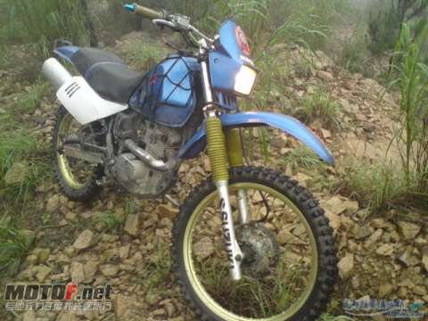 小眼125 爬鸡