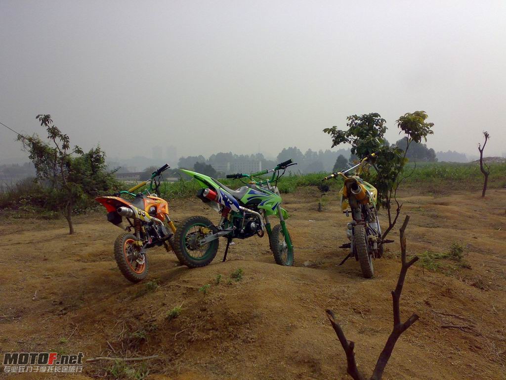 调整大小 20100130742.jpg