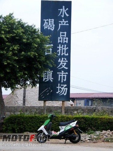 水产品的标语.jpg