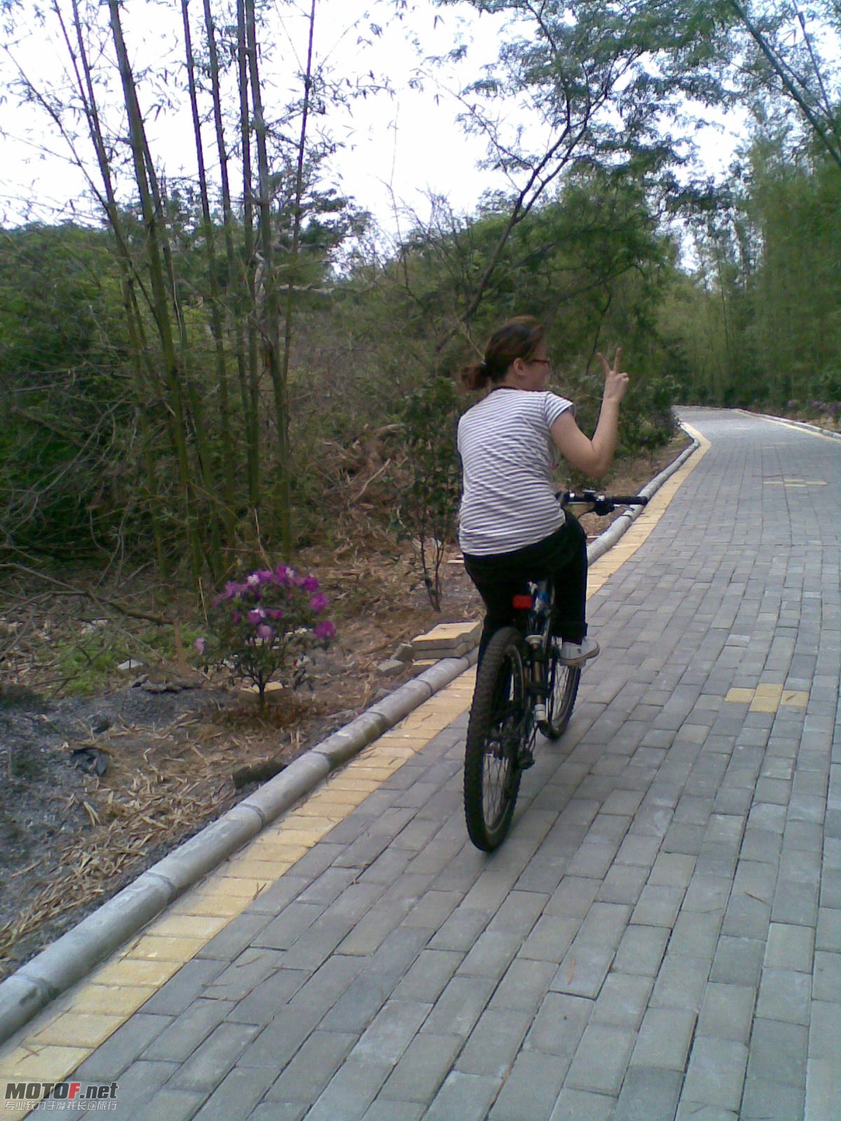 20100430921.jpg