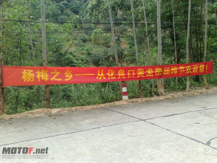 201005081883_调整大小.jpg