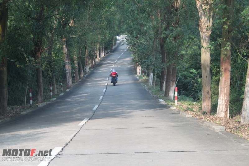 IMG_4267_调整大小.JPG