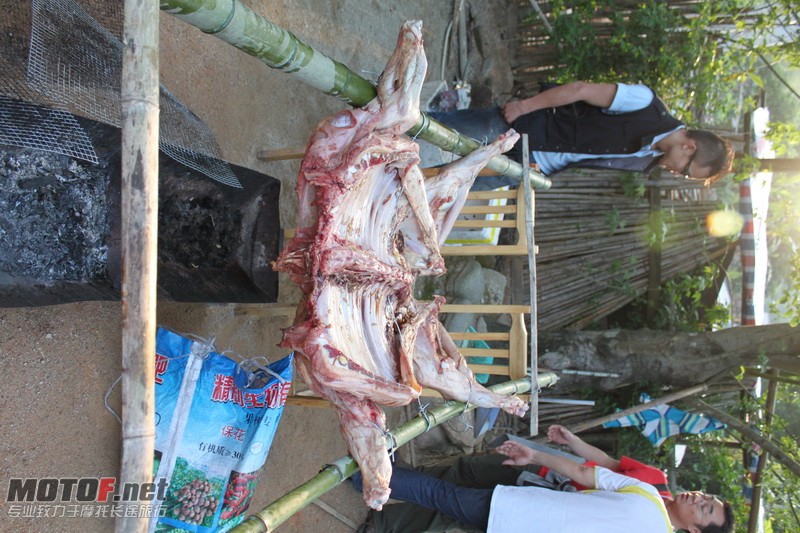 IMG_4472_调整大小.JPG