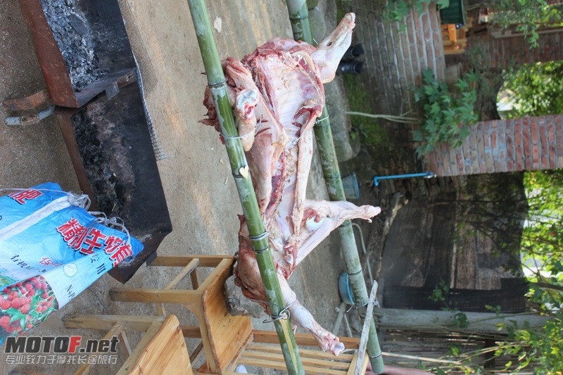 IMG_4470_调整大小.JPG