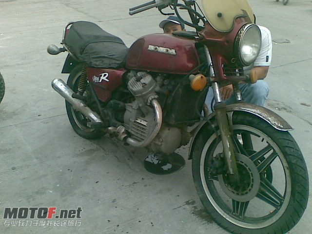 45063481.jpg