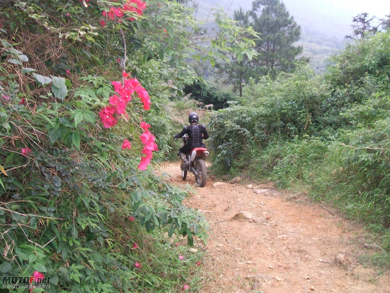 DSCF4296.JPG