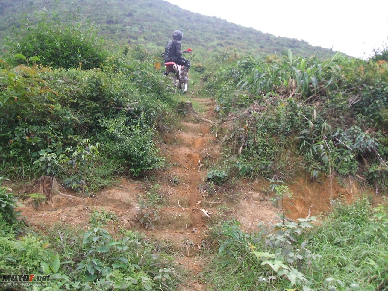 DSCF4300.JPG