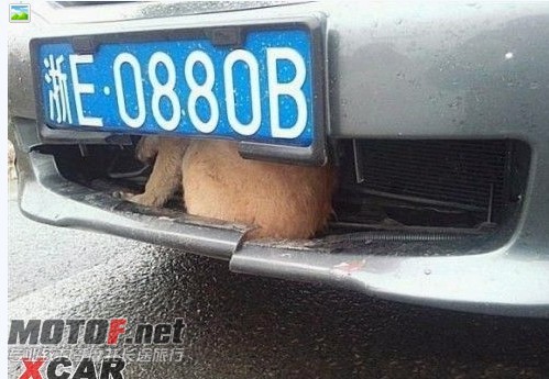 888.jpg
