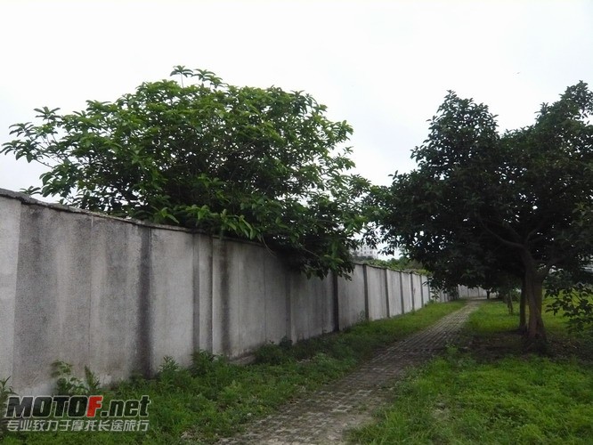 P1150452.JPG