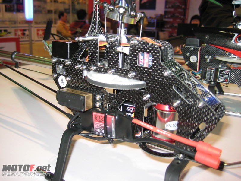 20100505-275.jpg