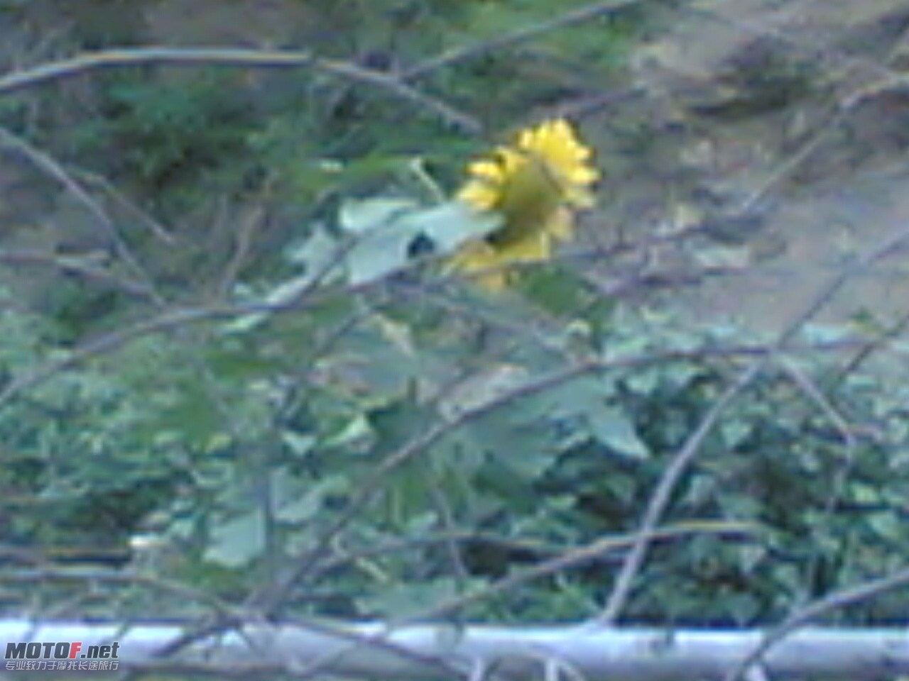 照片 010.jpg