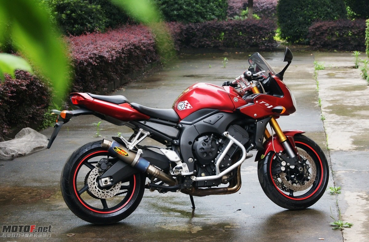 FZ1.jpg