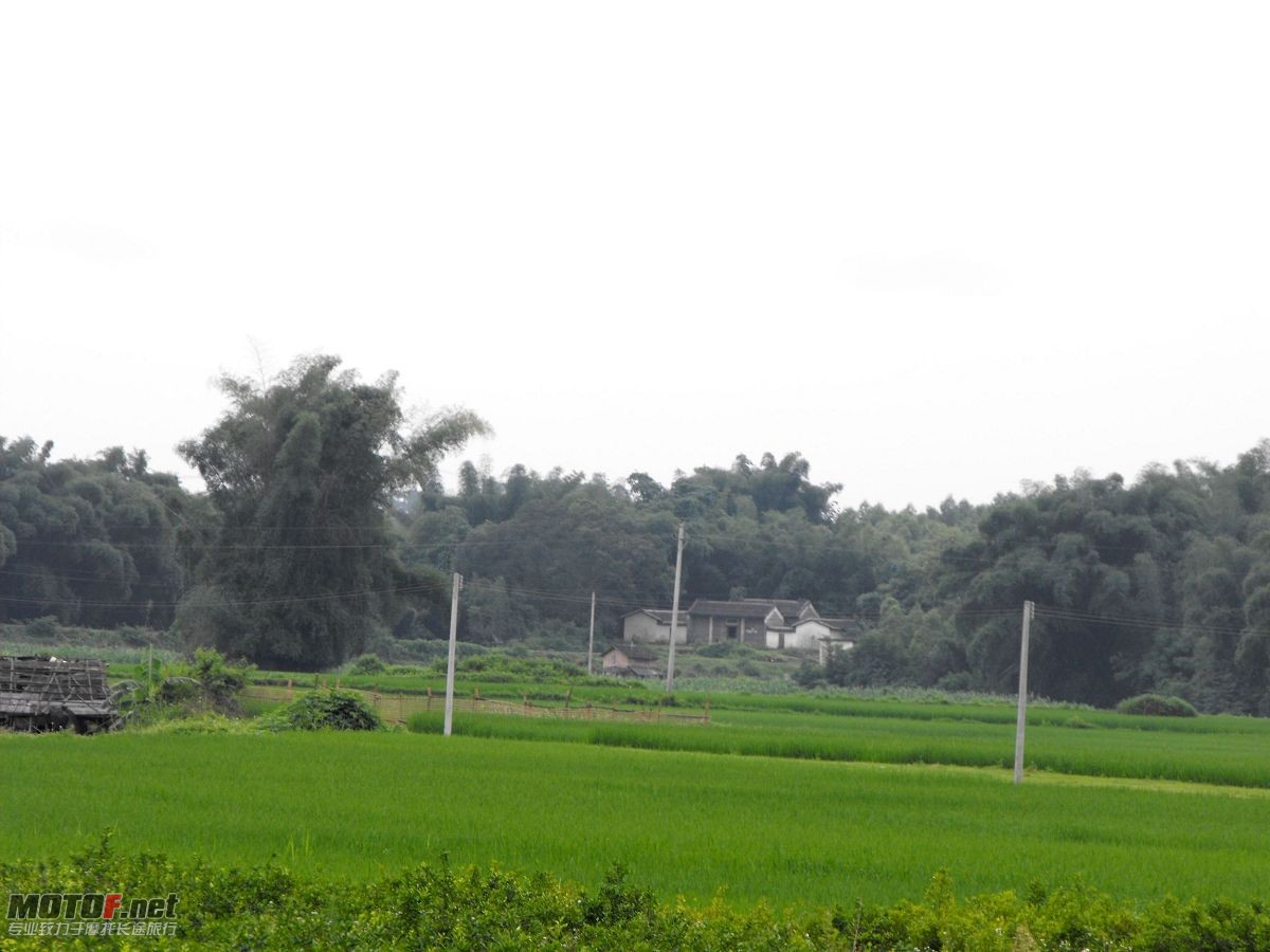 DSCF0147.jpg