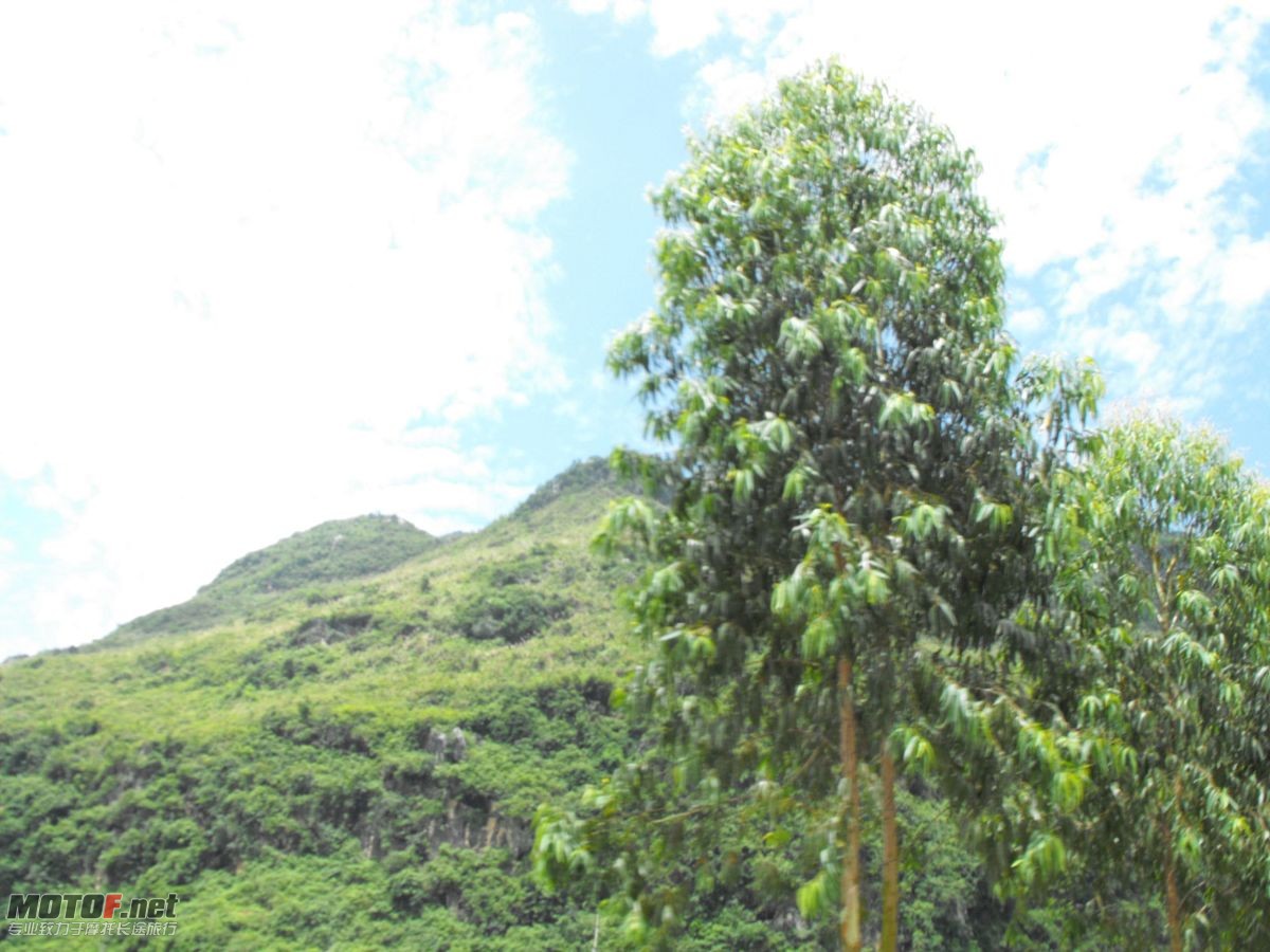 DSCF0154.jpg