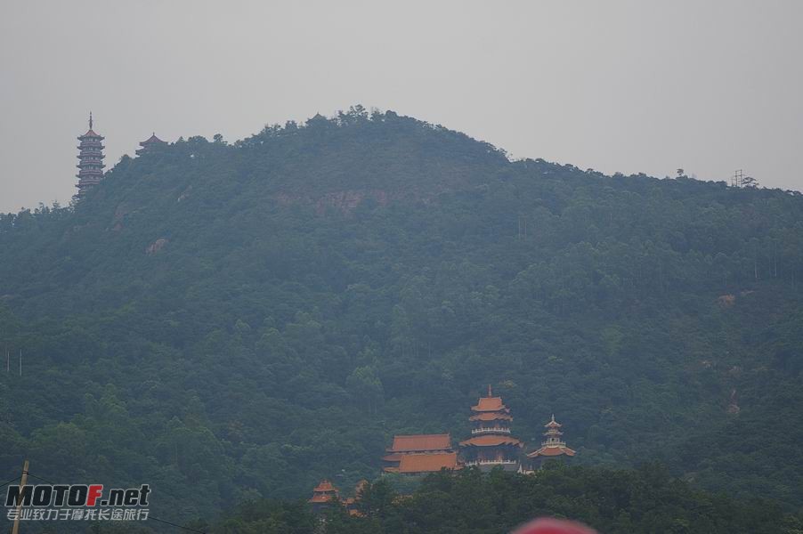 IMGP5966.JPG