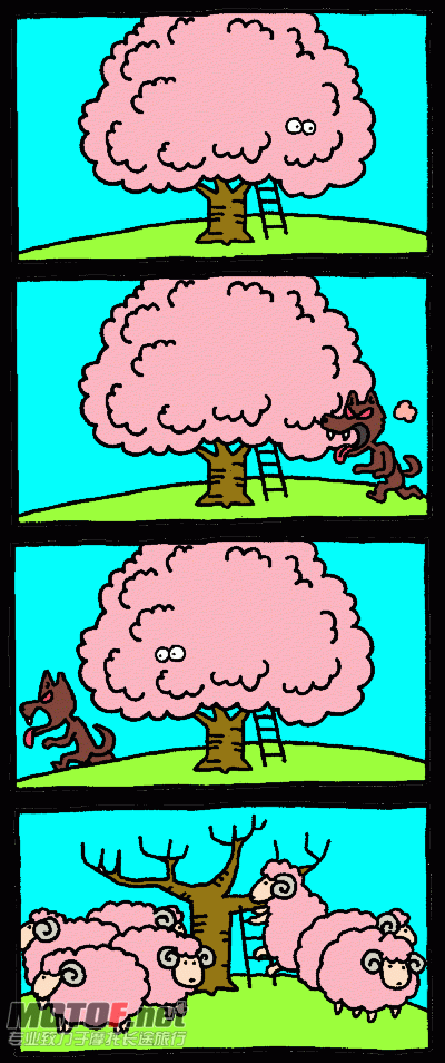 03.jpg