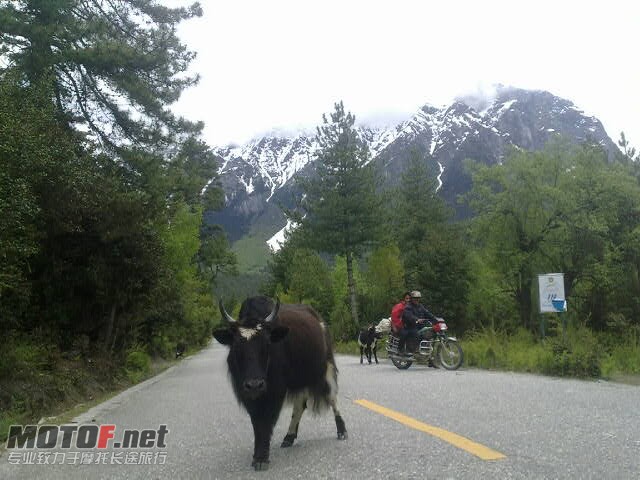 潮德团28(10).jpg