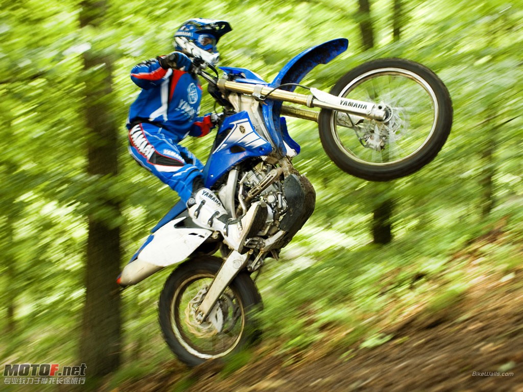 Yamaha_WR250F_2007_01_1024x768.jpg