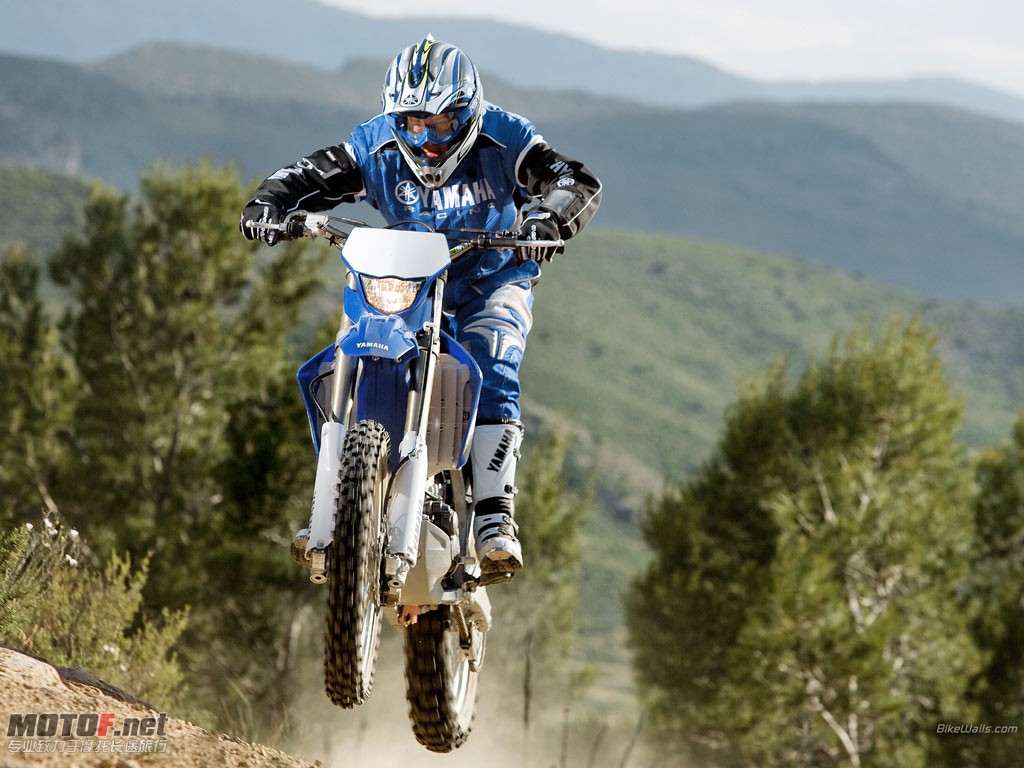 Yamaha_WR250F_2008_08_1024x768.jpg
