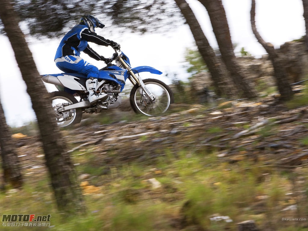 Yamaha_WR250F_2008_06_1024x768.jpg