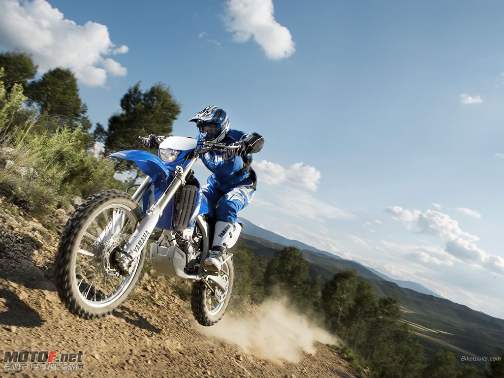 Yamaha_WR250F_2008_09_1024x768.jpg