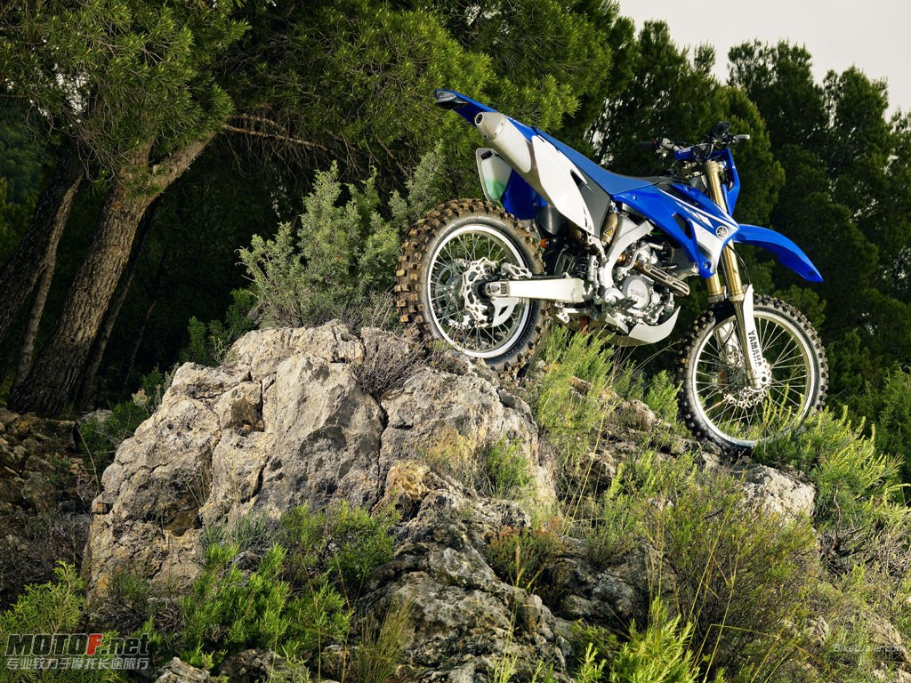 Yamaha_WR250F_2008_13_1024x768.jpg