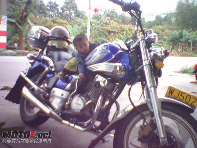 181.jpg