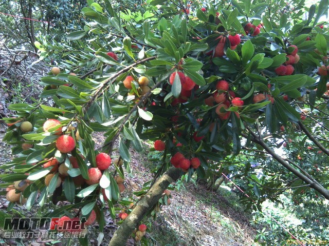 IMAG0042.jpg