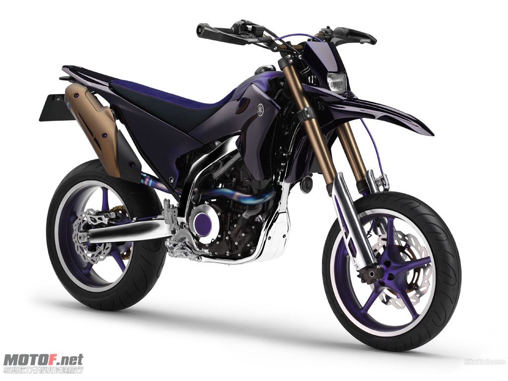 Yamaha_WR250XSpecial_2007_01_1024x768.jpg