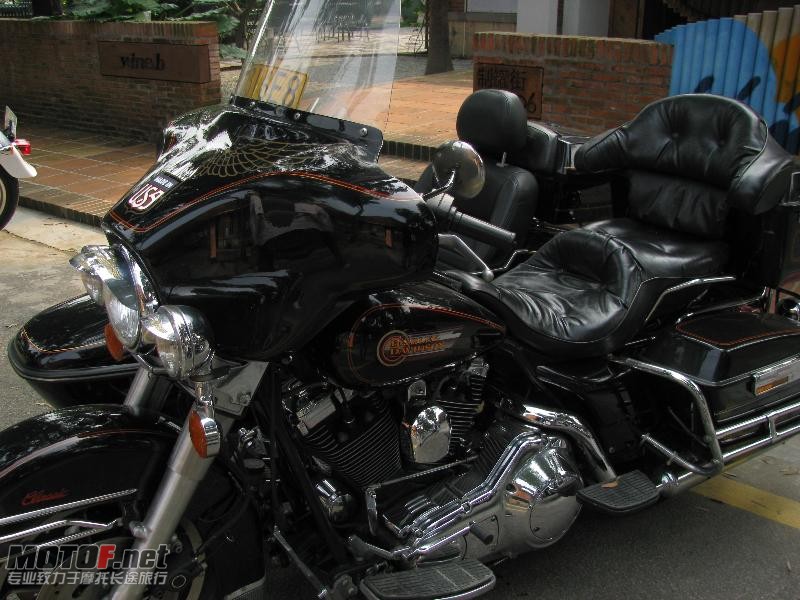 IMG_5581_800x600.jpg