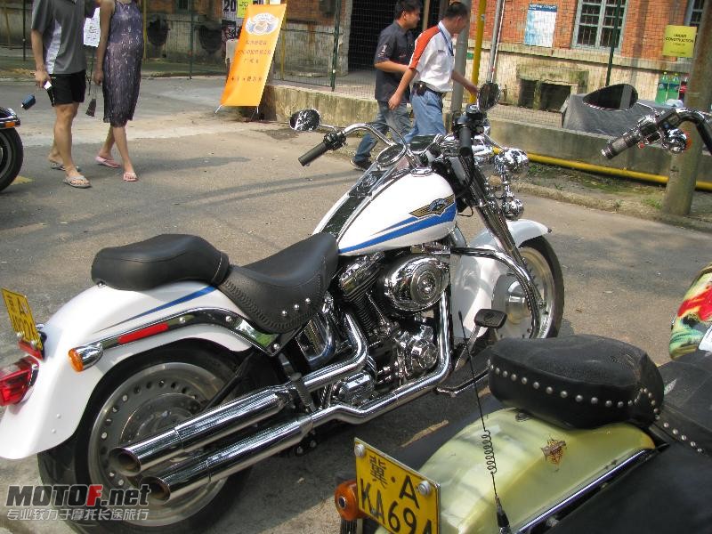 IMG_5599_800x600.jpg