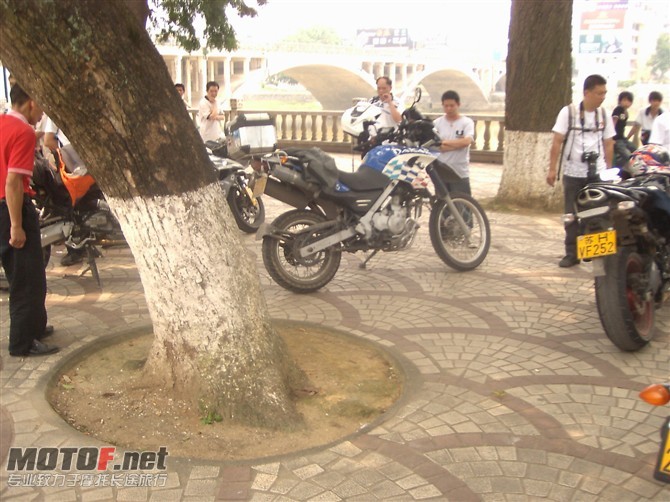 TSETSDT3523.jpg