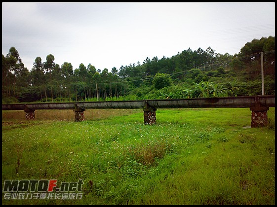 2010053128.jpg