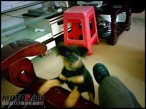 2010053153.jpg