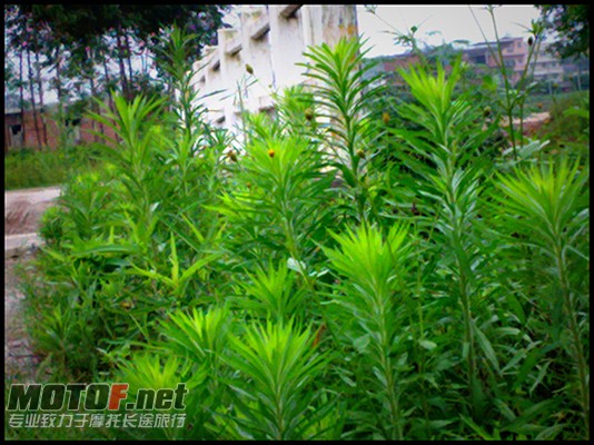 2010053126.jpg
