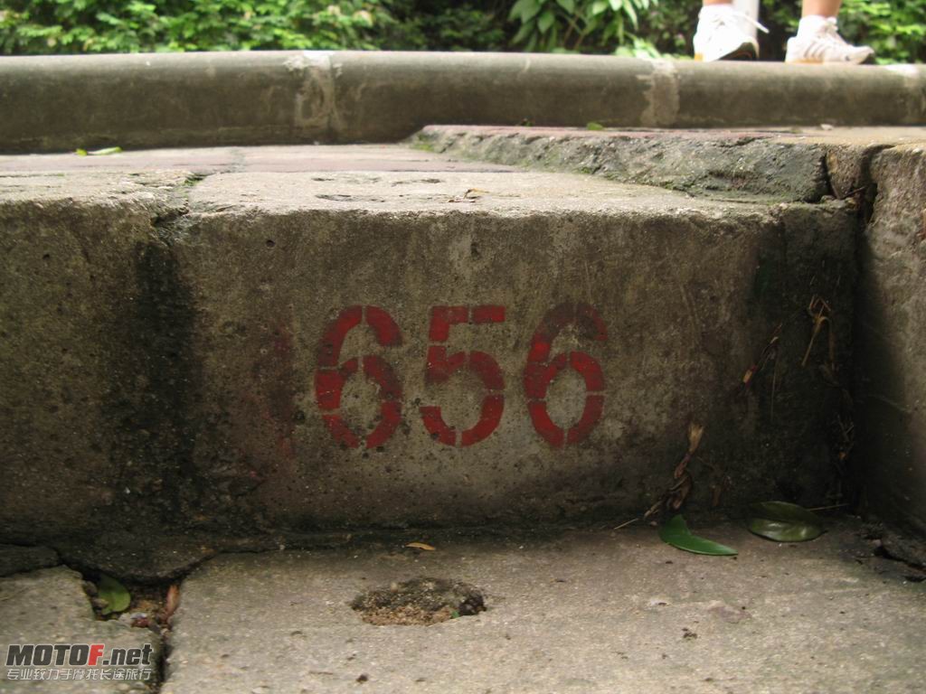 43.JPG