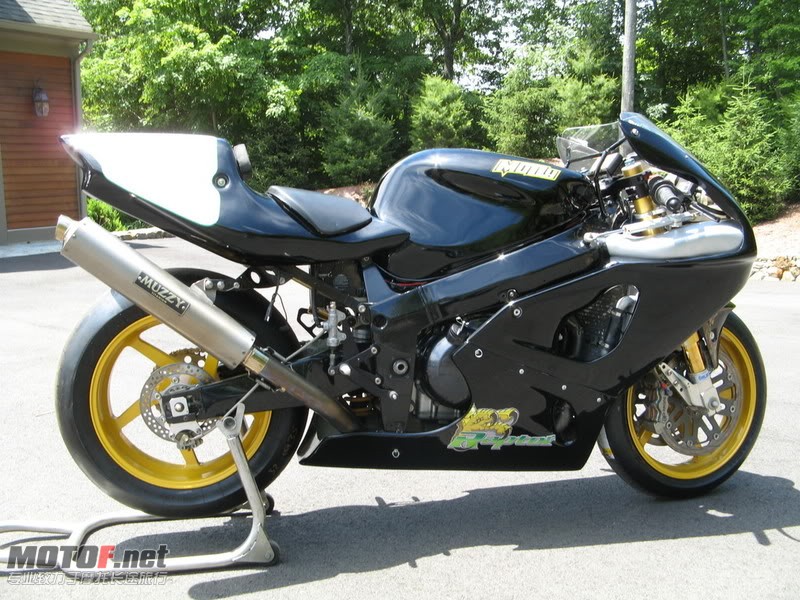 RAPTOR025.jpg