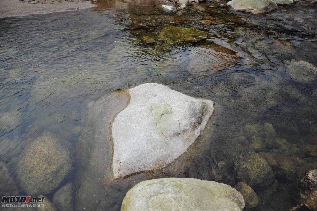 DSC_1544.JPG